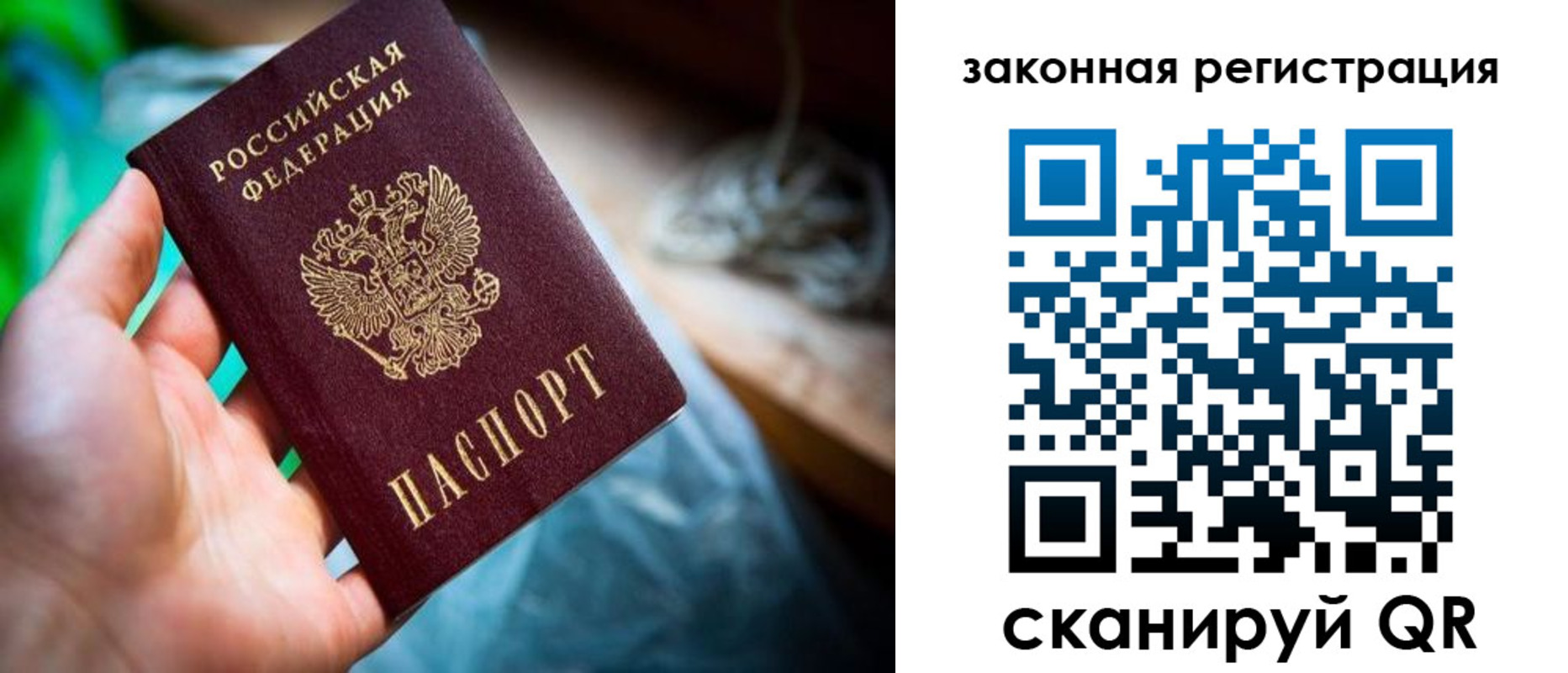 прописка в Кандалакше